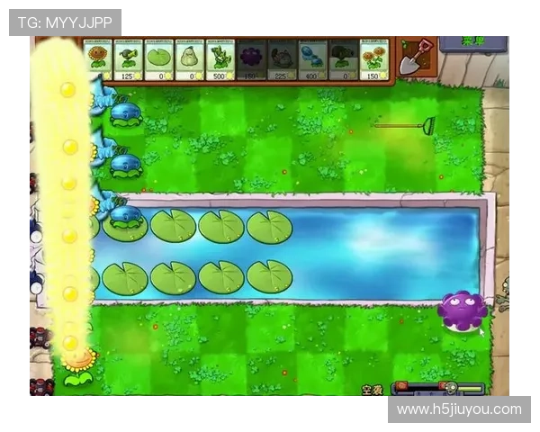 九游电脑版下载安装指南，提供完整的九游游戏电脑版安装流程和注意事项